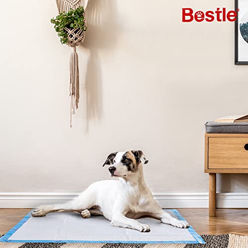 BESTLE Extra Large Pet Training and Puppy Pads Pee Pads for Dogs 28"x34" -18 Count Super Absorbent & Leak-Proof