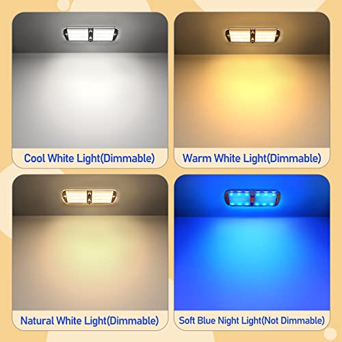 Ristow RV LED Interior Lights 12-18V 4 Pack Dimmable Ceiling Light 6W, Camper Lighting with 4 Colors for RV/Trailer/Camper/Boat, Warm White Light/Natural White/Cool White Light/Blue 4000-4500K, 700LM