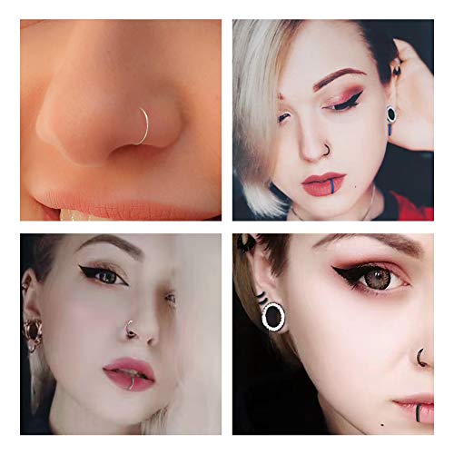 WBRWP Hypoallergenic Nose-Rings-Hoop with AB Purple Zircon : 18G(1.0mm) Diameter 8mm Hinged Segment Ring Body Piercing Nose Hoop Lip Rings Helix Cartilage Rook Earrings Diameter 10mm, Rose Gold Color