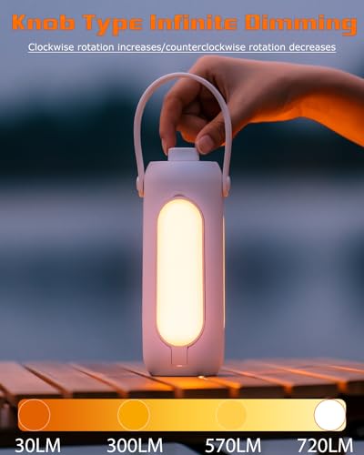 Foldable Camping Light Rechargeable Lantern, Portable Flashlight, 10000mAh Power Bank, IP54 Waterproof, 5 Modes, Multifunctional Led Tent Light for Fishing, Camping, Hiking (White)