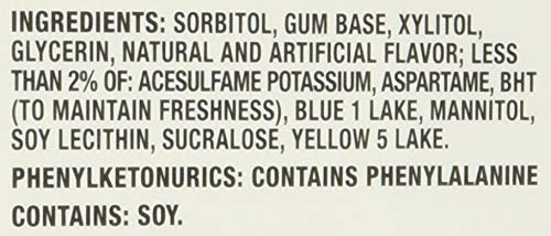 Trident Spearmint Flavor Bubble Gum 14 Sticks (Netcount 15 Pack), 15 Count (Pack of 1)