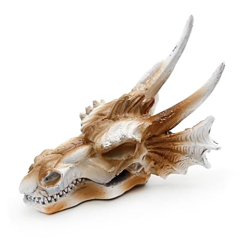 DUZFOREI Reptile Hideouts Terrarium Decor, Aquarium and Fish Tank Decorations Fish Tank Accessories Reptiles Hideout Habitat Aquarium Decor (Dragon Imitation Skull Model)