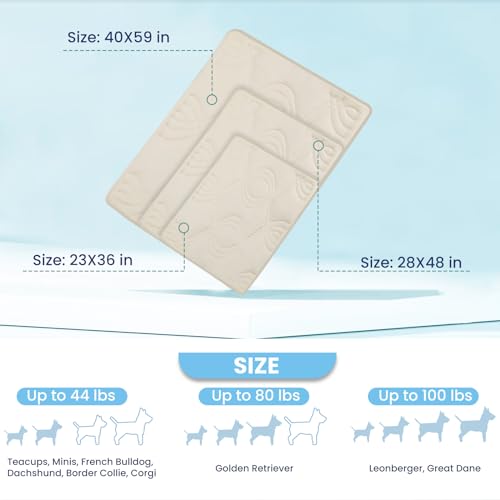 Thirdream Dog Crate Mat, Soft Dog Kennel Pad for Small Dog Sleeping, 36" x 23"x1", Pet Puppy Cat Washable Pad for Cages Bed Kennels Sofa Floors Portable Beige Yellow