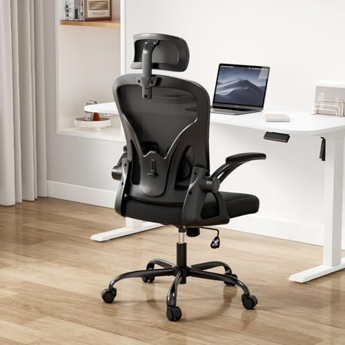 Farini Ergonomic Office Chair, Home Office Desk Chair with Headrest, High Back Computer Chair with Flip-up Armrests and Adjustable Lumbar Support for Home Office Study Room (with Headrest, All-White)