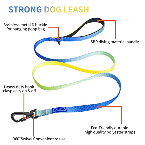 AIITLE Step in Dog Harness Collar Leash Set - Adjustable No Pull Dog Halter Harness - Comfortable Padded Handle - Easy Control for Walking - for Extra-Small Breed Dogs, Blue Gradient XS