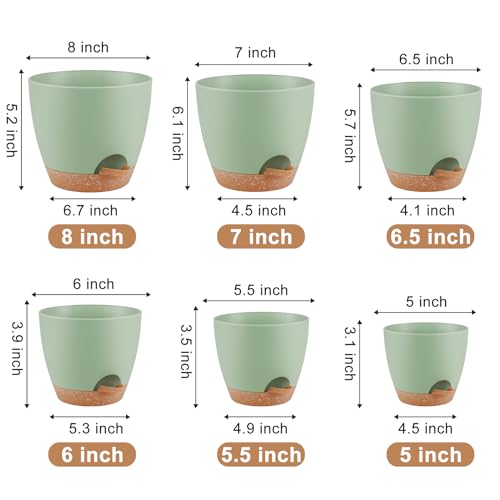 QRRICA Plant Pots 8/7/6.5/6/5.5/5 Inch Self Watering Pots, Set of 6 Plastic Planters with Drainage Holes and Saucers,Plastic Flower Pots,Nursery Planting Pot for Indoor Out Door Plants（Green）