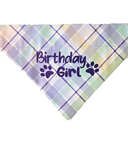 Birthday Girl Over the Collar Dog Bandana That Slips onto Their Existing Collar Size (X-Small)