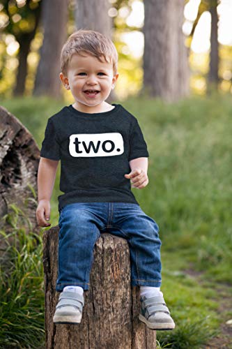 2nd Birthday Shirt boy 2 Year Old Toddler Kids Outfit Second Two t-Shirt Party (Charcoal Black, 2 Years)