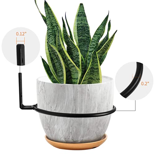 Plant Wall Hanger 4 inch Hanging Plant Stand 6 Pack Metal Planter Hooks Wall Mounted hangers,Flower Plant Pot Holder Ring for Outdoor/Indoor