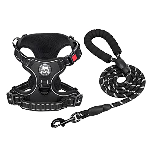 PoyPet No Pull Dog Harness and 5 Feet Leash Set, Release on Neck Reflective Adjustable Pet Vest, Front & Back 2 D-Ring and Soft Padded Pet Harness with Handle for Small to Large Dogs(Tumalo Teal,M)