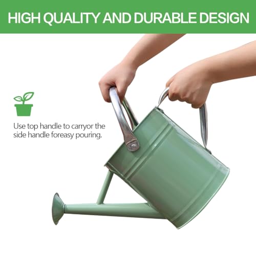 yourjoy Metal Watering Can, One Gallon Watering Cans Stainless Steel for Outdoor Indoor Garden Plants Watering (Cream Green)
