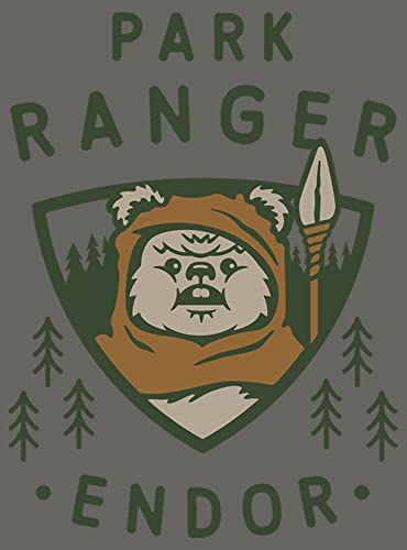 Star Wars Women's Park Ranger Junior's Raglan Pullover with Coverstitch, Gray Heather, Small