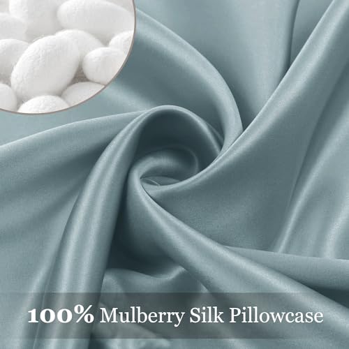 Adubor Silk Pillowcase - 100% Pure Mulberry Silk, 23 Momme 6A Grade Fibers, 900 Thread Count, Silk Pillow Cases for Hair and Skin Health, with Hidden Zipper (Standard 20''×26'', Lvory White, 1PC)