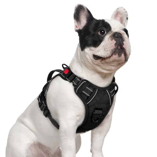 rabbitgoo Dog Harness Small Sized Dog, No Pull Pet Harness with Soft Padded Handle, Adjustable Reflective Vest with 3 Buckles, Easy Walking Harness with 2 Leash Clips, Black, S