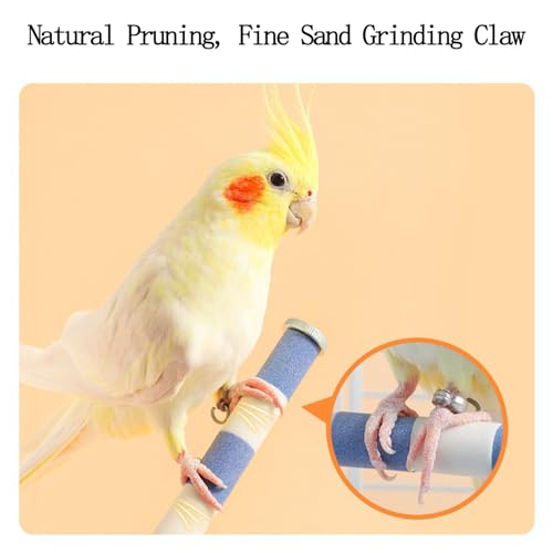 ZixmiX Fanlahmtasy Bird Perch - Multi-Functional Perch Stand for Birds with Bird Shower Perch Function, Ideal Window Perch for Birds with Secure Suction Cup Installation (orange0.8in)