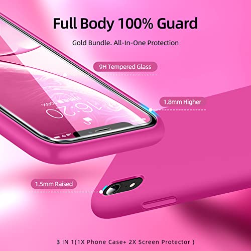 Dssairo [3 in 1 for iPhone x Case/iPhone Xs case, with 2 Pack Screen Protector, Liquid Silicone Slim Shockproof Protective Phone Case 5.8 inch [Microfiber Lining] (Alpine Green)…
