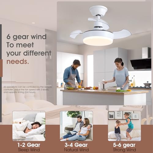 MADSHNE 24" Small Retractable Blades Ceiling Fans with Remote Control,Modern White Fandelier Ceiling Fans with Dimmable LED Lighting for Dining Room,Kitchen,Reversible