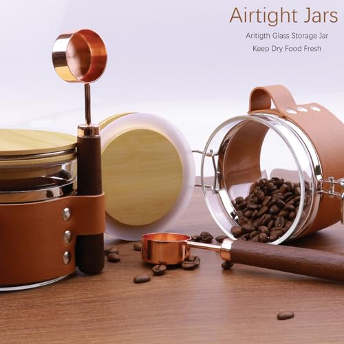 Matifaner Glass Storage Jars with Spoon, Kitchen Food Storage jars with spoon, Glass Coffee Nuts Canister with Bamboo Lids, Scoop for Coffee Bean, Ground Coffee,Nuts, Cookie, Flour (16OZ×2)