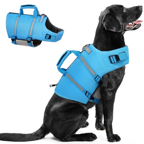 Queenmore Dog Life Jacket, XS Dog Life Vest,High Floating Pet Life Vest for Swimming,Lightweight Adjustable Puppy Life Preserver for Boating,Dog Water Vest with Back Zip,Rescue Handle,Hook (Blue XS)