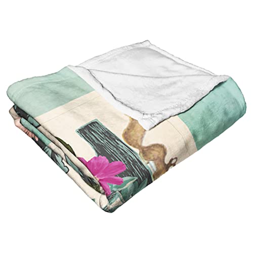 Northwest Bambi Silk Touch Throw Blanket, 50" x 60", B is for Bambi