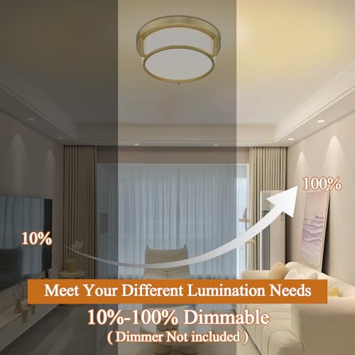 Luminzone Gold LED Ceiling Light Fixtures 12 Inch 22W LED Flush Mount Light 5CCT Dimmable Ceiling Light with Milk Glass Overhead Ceiling Lamp for Bedroom Bathroom Kitchen 3000K~6500K