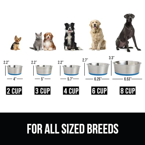 Gorilla Grip Stainless Steel Metal Dog Bowl Set of 2, Rubber Base, Heavy Duty Feeding Dishes, Food Grade BPA Free, Less Sliding, Quiet Pet Bowls for Cats and Dogs, Holds 2 Cups (16 fl oz), Beige