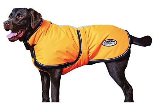 WeatherBeeta ComFiTec Reflective Parka 300D Deluxe Dog Coat, Yellow, 32"