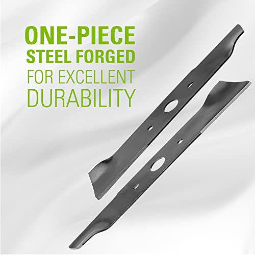 Greenworks 29423AZ 29423 Accessory, Blade for 21” Lawn Mower, Black