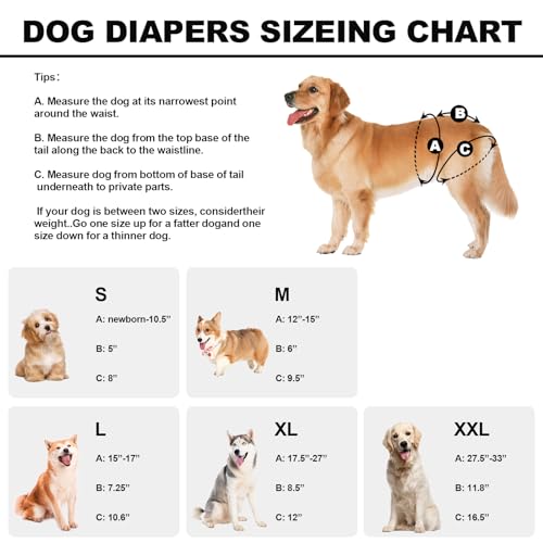 Reusable Dog Diapers Female Washable, Premium Doggie Diapers for Female Dogs, Pack of 3, Highly Absorbent Small Female Dog Diapers for Heat, Incontinence and Puppy Training(S)