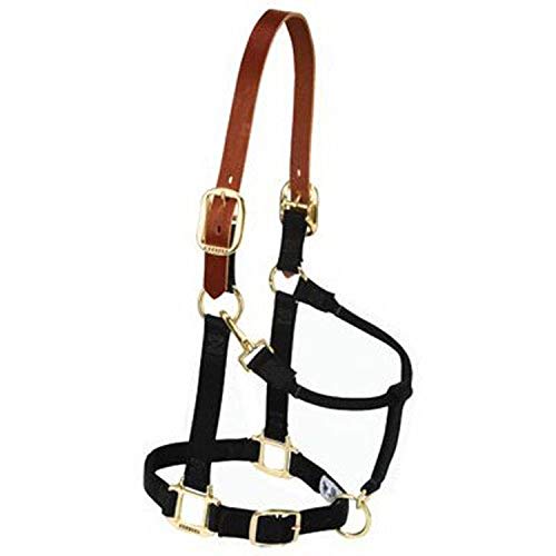 Weaver Leather Original Adjustable Nylon Horse Halter, Suckling, Black