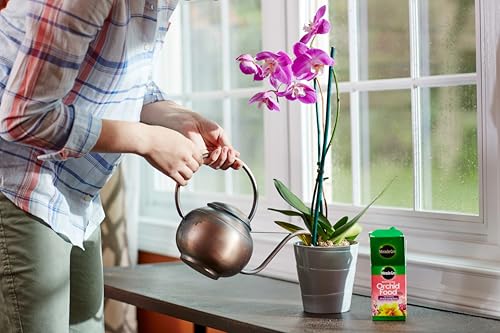 Miracle-Gro Orchid Care Bundle, Includes Potting Mix and Plant Food Mist, For Indoor and Outdoor Container Orchids