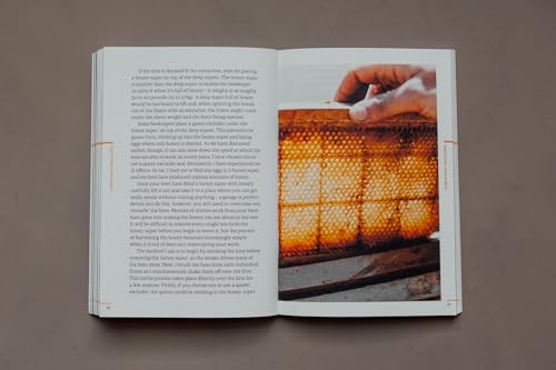 Do Beekeeping: The secret to happy honeybees (Do Books, 11)