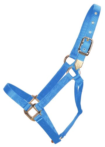 Hamilton 1-Inch Nylon Horse Halter, Yearling, 300 to 500-Pound, Purple