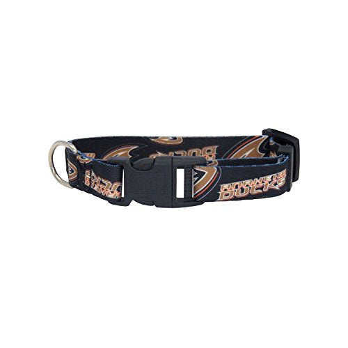 Littlearth Detroit Red Wings NHL Pet Collar
