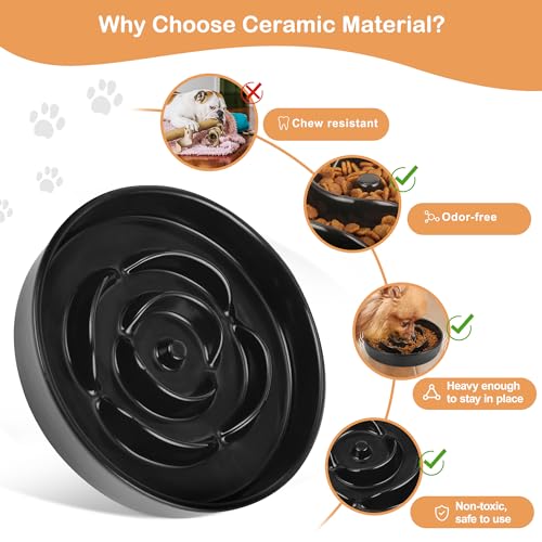 Sted Puzzle Slow Feeder Dog Bowl, Slow Eating Dog Dishes for Medium Large Dogs, Slow Down Eating for Dog Fast Eaters, Dog Maze Slow Feeder Bowl, Blue
