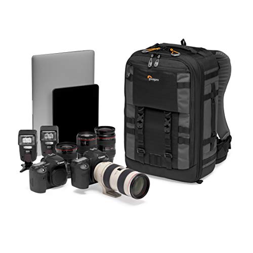 Lowepro Camera & Photo BP 350 AW II-New, Grey