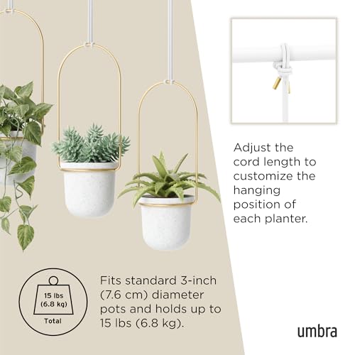 Umbra Triflora Hanging Planter for Window, Indoor Herb Garden, Set of 5, Black