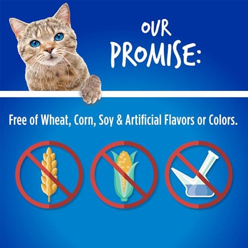 Fruitables Cat Treats – Crunchy Treats For Cats – Healthy Low Calorie Treats Packed with Protein – Free of Wheat, Corn and Soy – Made with Real Chicken with Blueberry – 2.5 Ounces