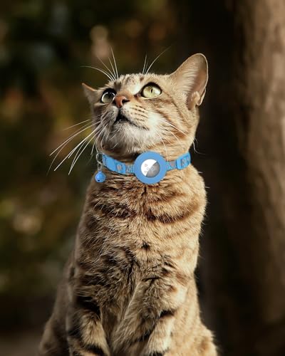 Aiyuda Reflective Breakaway Airtag Cat Collar, Slide-On Air Tag GPS Tracker Holder Compatible for Apple Airtag, Removable Jingle Bell, 3/8” Wide Cat Collars for Girl and Boys, Aqua Blue, Heart