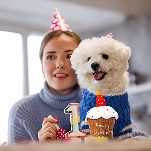 REQIHO Dog Birthday Toys - Plush Squeaky Cake Dog Toy, Strawberry Birthday Gift