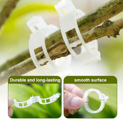 Plant Support Clips,100/150/300 PCS Plant Clips for Climbing Plants Clear Plant Clips,Garden Clips Plant Support Clips Plant Clips Plant Support Garden Clips Vine Fixing Clip for Plants (Green-100pcs)