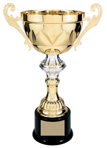 Griffco Supply Gold Trophy Cup with Custom Engraved Plate included to Customize for Sports Championships, Tournaments, Award Competitions, Spelling Bee (5 sizes) - Trophy Award (8.75" X-Small)