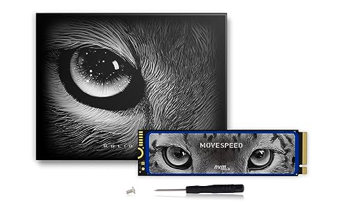MOVE SPEED HB7450 512GB SSD for PS5 with Heatsink, PCIe 4.0 NVMe M.2 Internal Solid State Drive - Up to 7450MB/s, 3D NAND Storage Expansion Compatible with PS5, Desktops and Laptops