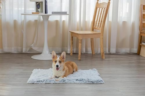 PJYuCien Blankets 1 Pack 3 - Fluffy Premium Fleece Flannel Throw Dog Blanket, Soft Warm Cute Print Cat Blanket, 23"x16" Pet Blankets for Small Dog Cat Puppy