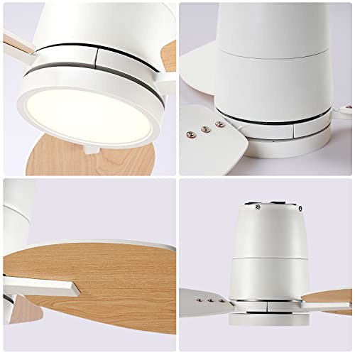 TALOYA Small Ceiling Fans with Lights and Backlight, 32 inch Ceiling Fan with Remote Control, Quiet Reversible DC Motor, 5 CCT Seleactable Modern Ceiling Fans for Bedroom Dining Room Patio White