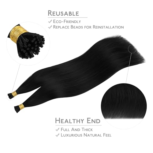 WENNALIFE U Tip Hair Extensions Human Hair, 50g 50s 16 Inch Light Auburn Brown Remy Hair Extensions K Tip Hair Extension Real Human Hair Invisible Straight Keratin Hair Extensions