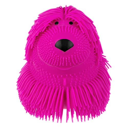 Expressions 1pc Shaggy Dog Squeeze Toy - Squishy Pet Dog - Novelty Fidget Toys, Anxiety Relief Items, Sensory Toys & Stress Relief Dog Toy, Fidgets for Adults
