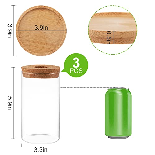 Plants Propagation Station - Desktop Plant Terrarium Glass Hydroponic Vases Water Plant Propagating Jars Gardening Gifts for Women Mom Plant Lovers (3Pcs, Separated Style)