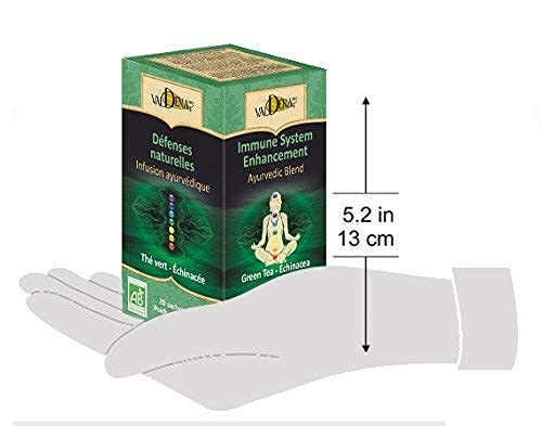 Valdena Bio Ayurvedic Blend Organic Green Tea with Echinacea, Less Caffeine, Anti-Inflammatory and rich in Antioxidant (3 packs, total of 60 individually wrapped tea bags) Non GMO