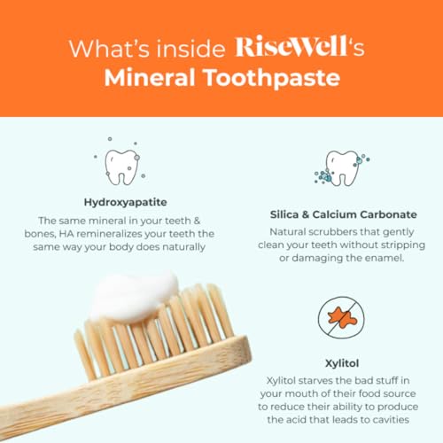 RiseWell Mineral Toothpaste - Natural Toothpaste with Hydroxyapatite - No Added Fluoride, Natural Remineralizing Toothpaste Without SLS - Made by Dentists Toothpaste, Wild Mint 4 Oz